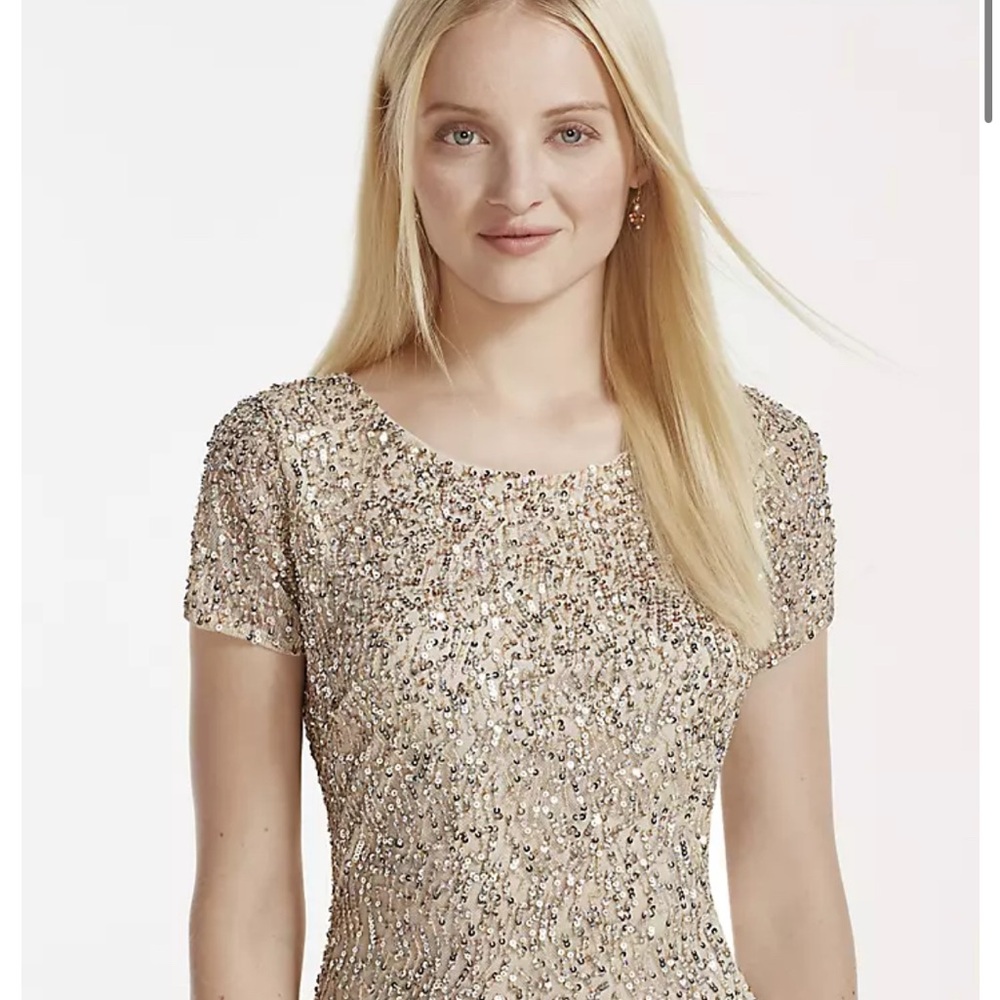 Rose Gold Sequin cocktail Dress with fringe on the bottom - Picture 2 of 9